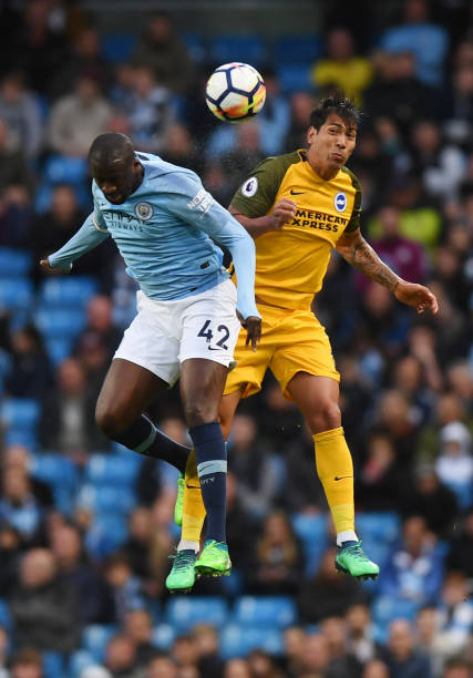 的长久维护 的长久维护